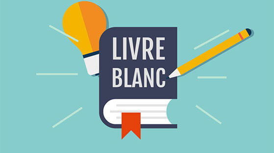 rédacteur web livre blanc